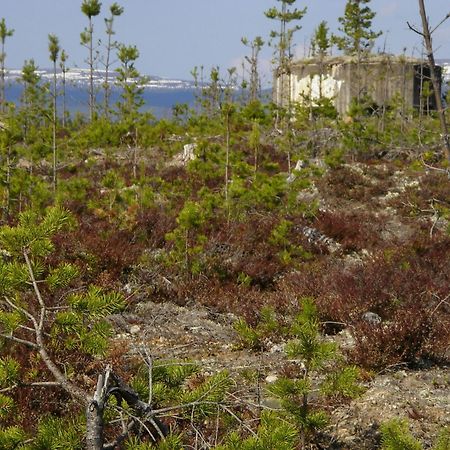 Saelens Vandrarhem I Graesheden Stoten Exterior photo