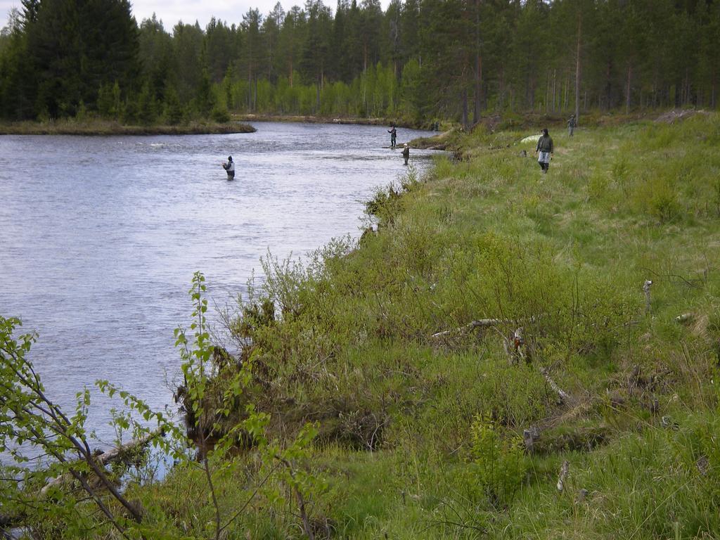 Saelens Vandrarhem I Graesheden Stoten Exterior photo