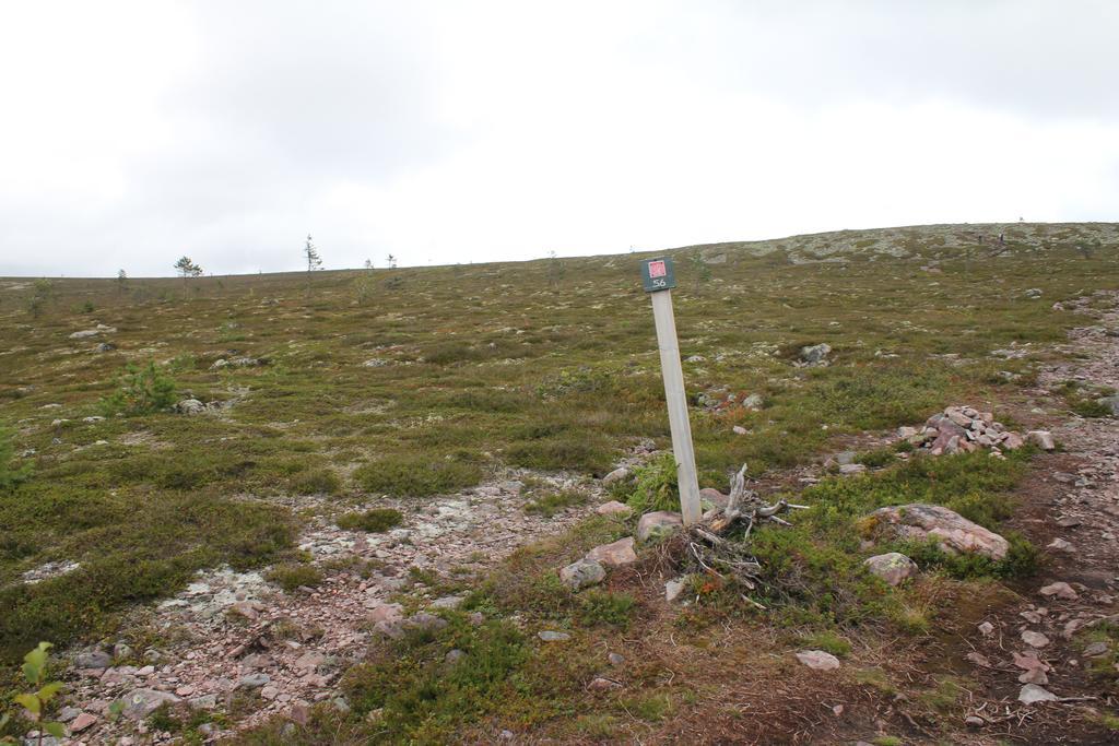 Saelens Vandrarhem I Graesheden Stoten Exterior photo