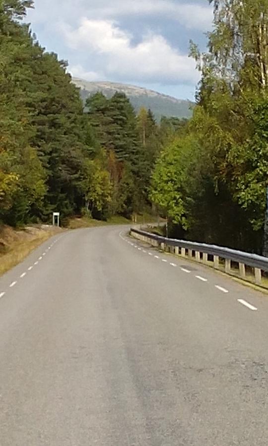 Saelens Vandrarhem I Graesheden Stoten Exterior photo